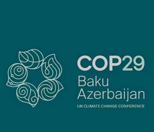 COP29 Logo