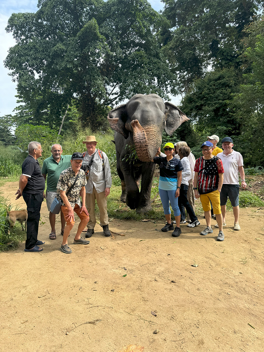 Pilgrims with elephant.