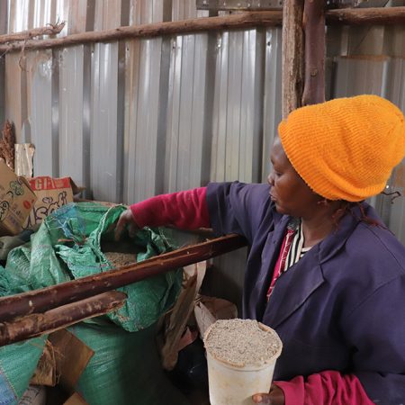 Jacinta can now buy locally formulated poultry feed for her chickens, now that her local community-based organisation, supported by ADSE, has built a centre which makes the feed for sale. © ADSE. Used with permission.