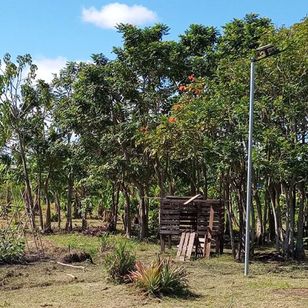 This model garden and poultry enclosures on the outskirts of Honiara is used by ACOM to conduct training in climate change adaptation with church, community and school groups. © Terry Russell/ABM.