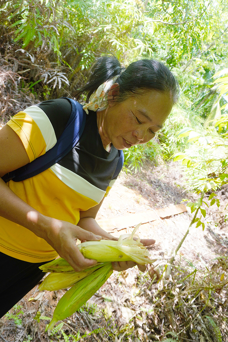 Marietta with some of the traditional indigenous corn she has grown on her farm. © IFI-VIMROD. Used with permission.