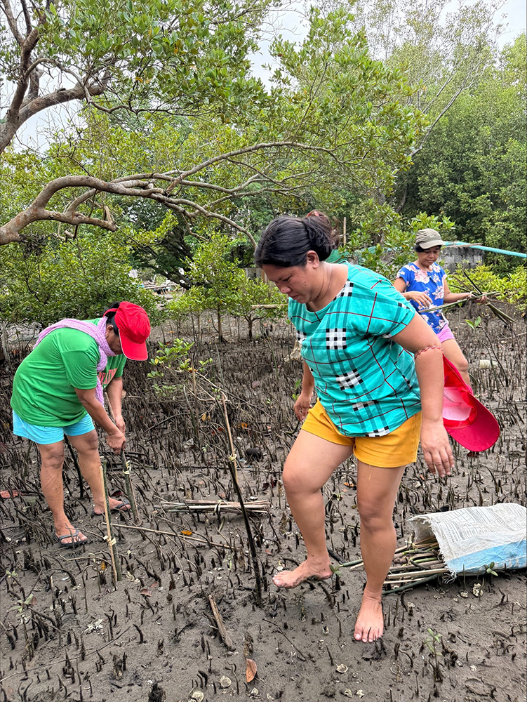 Women from Songcolan Seashore Livelihood Association re-invigorating their local mangrove. © Lina Magallanes/ABM.